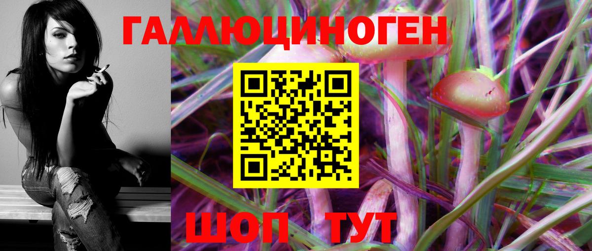 Псилоцибиновые грибы MAGIC MUSHROOMS Дубна
