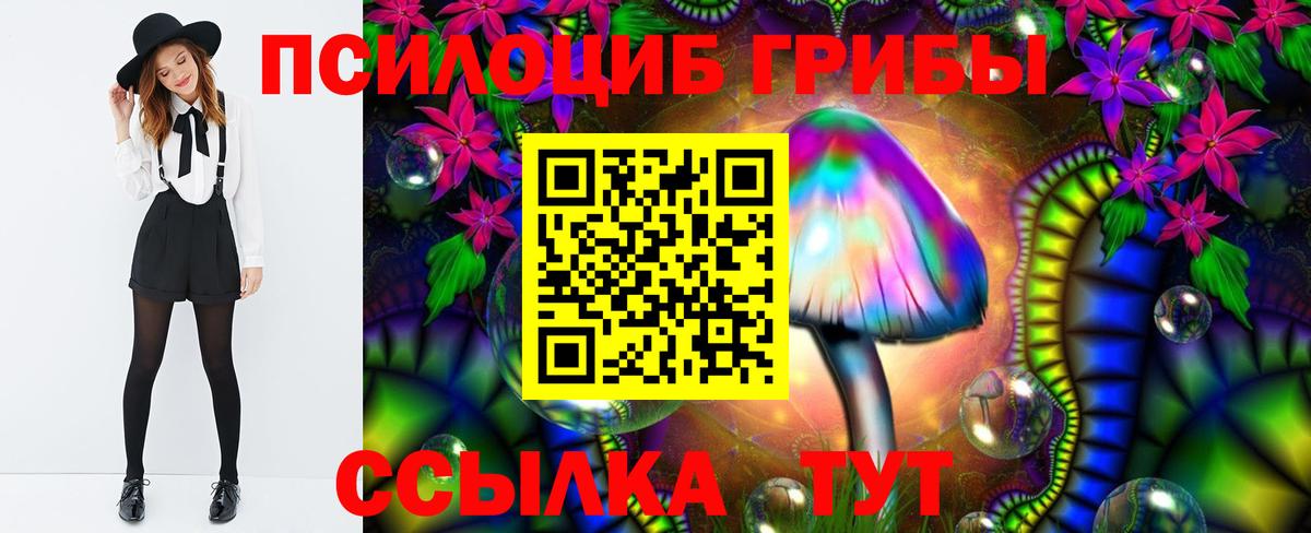 Дубна  Галлюциногенные грибы MAGIC MUSHROOMS  Псилоцибиновые грибы мицелий  где купить наркотик  Вход с VPN 