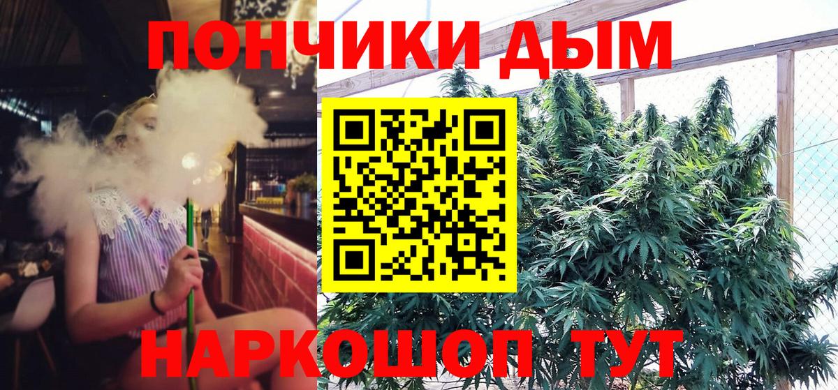 МАРИХУАНА ГИДРОПОН Дубна