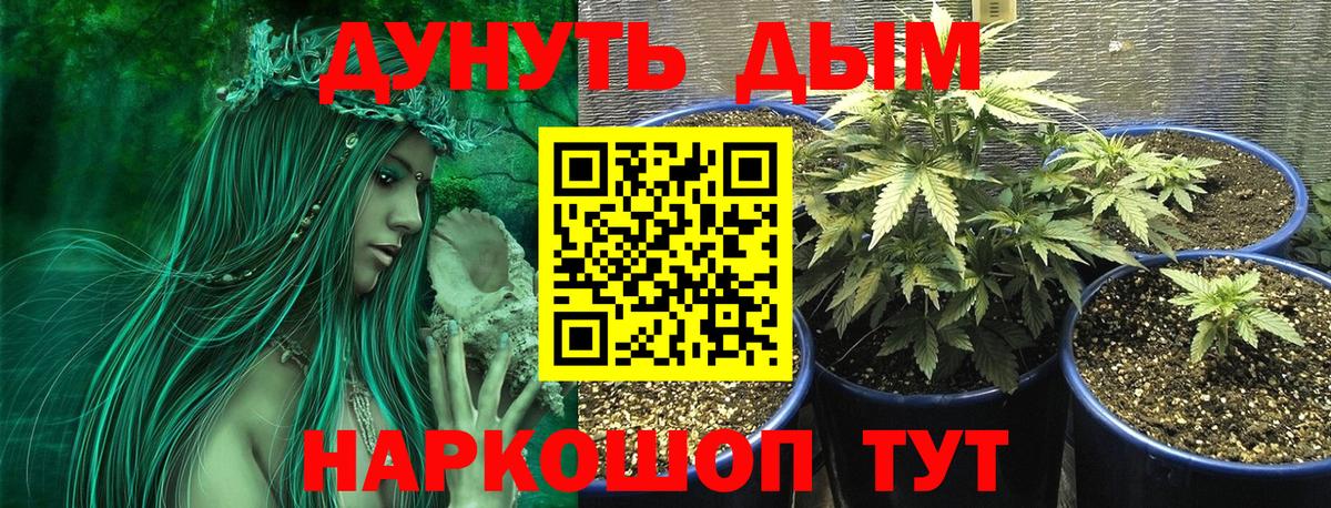 Каннабис LSD WEED  МАРИХУАНА THC 21%  Дубна  Вход с VPN 